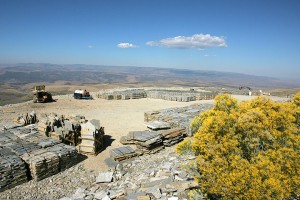 Photo By: Jason Lugo