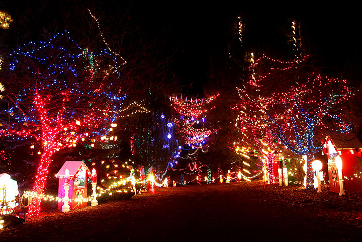 Rock Creek Christmas Lights
