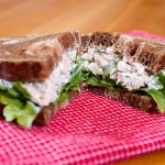 Chicken Salad Sandwich Photo Copyright Jason Lugo